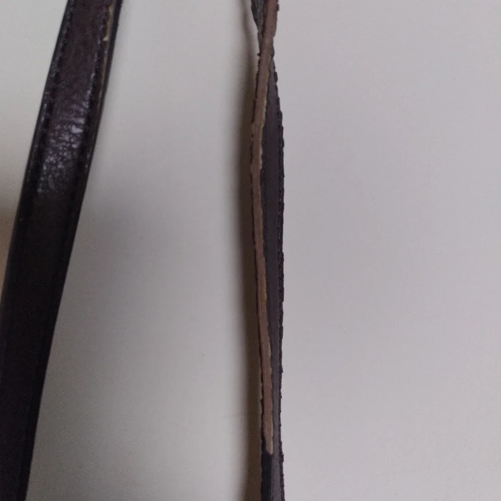 Fossil gray brown