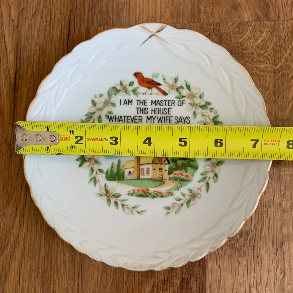 Vintage feminist plate