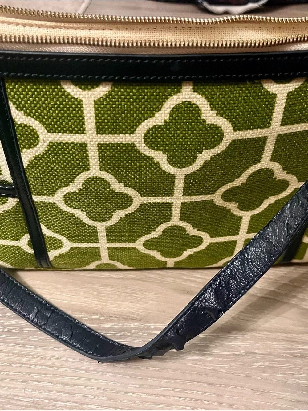 Spartina 449 Green and Cream Patterned  Purse