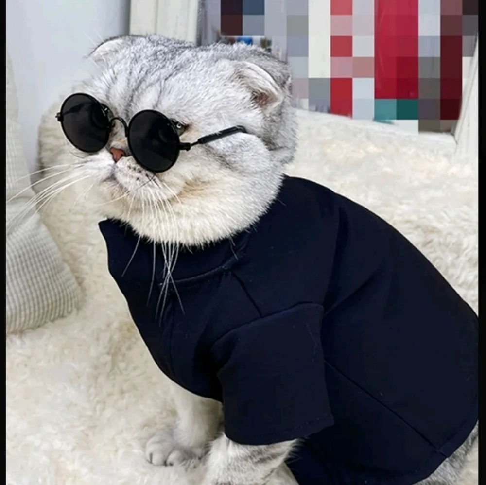 N/A pet glasses