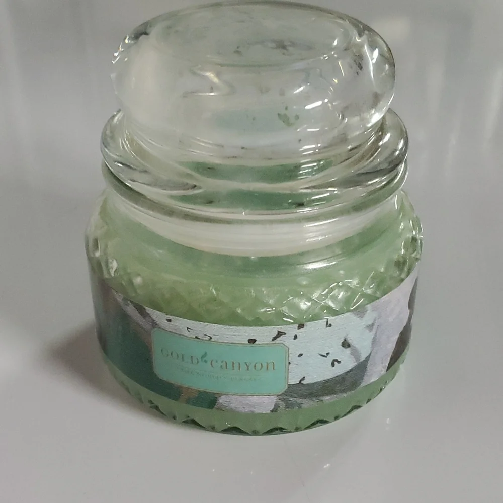 OLD FASHIONED MINT ICE CREAM small/8 oz Gold Canyon‎ two-wick candle