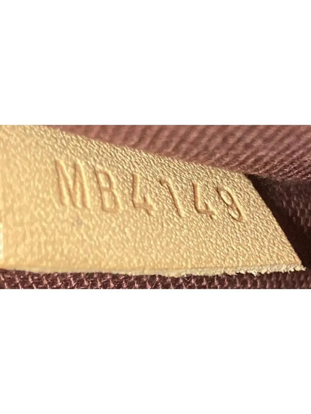 Louis Vuitton carrying poshmark