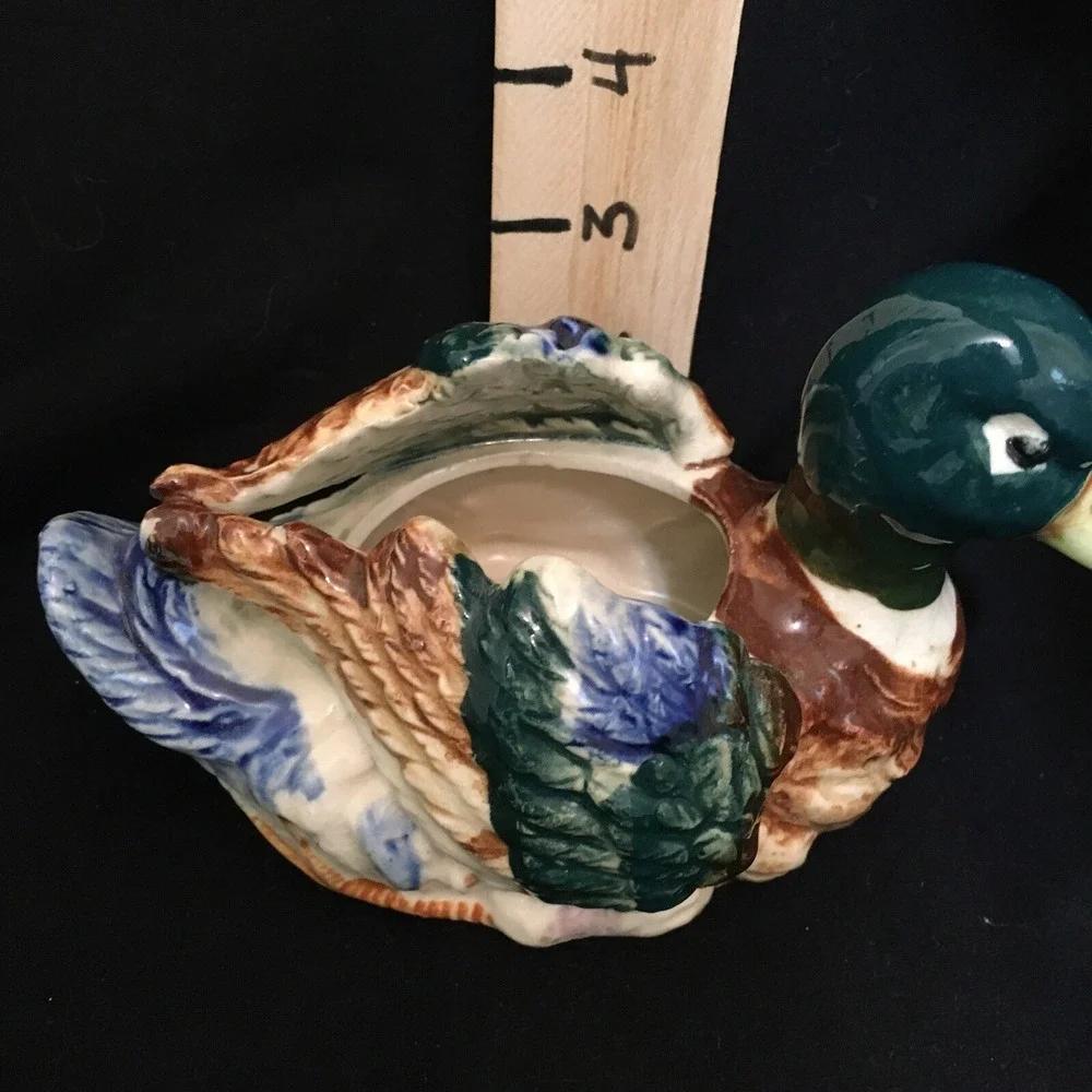 The Unbranded Brand mallard vintage