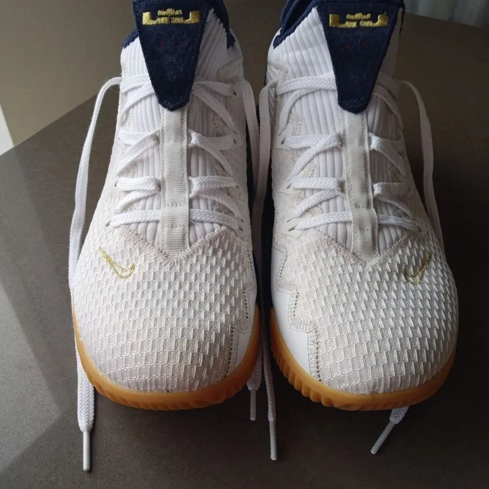Nike lebron 16