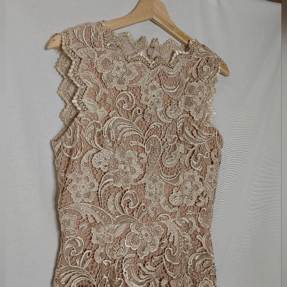 Dress the Population wear overlay