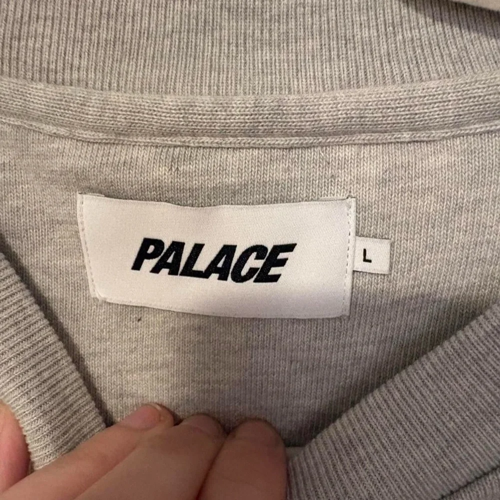PALACE stylish gray