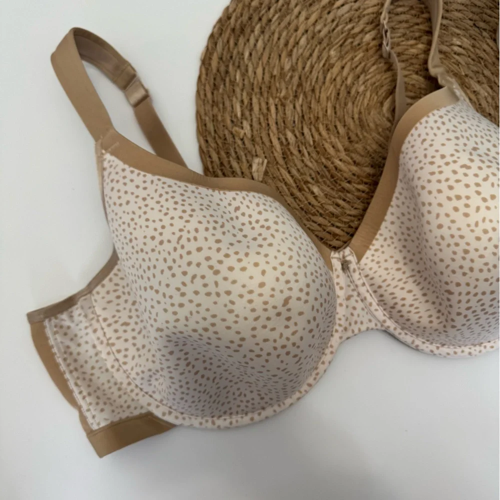 Cacique experience comfort