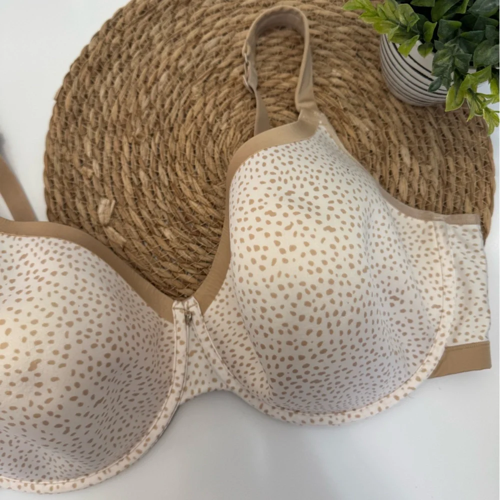 Cacique experience comfort