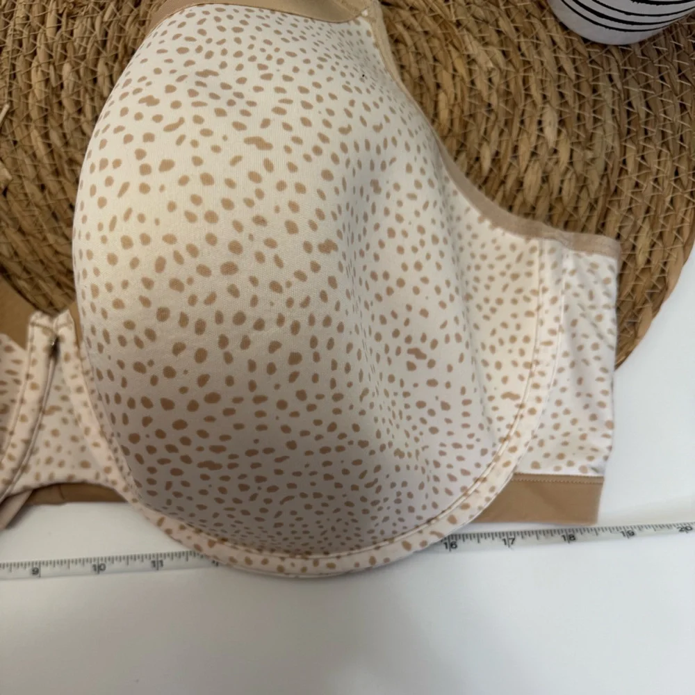 Cacique experience comfort