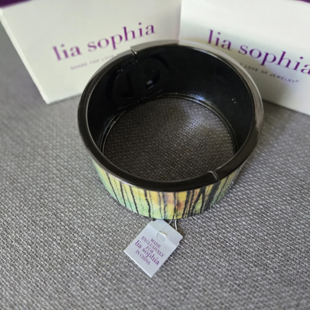 Lia Sophia Multicolor Wide Bangle‎