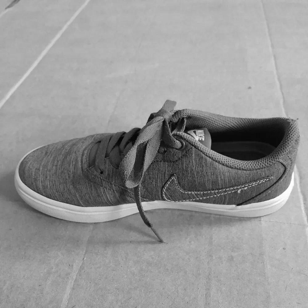 Nike sb check