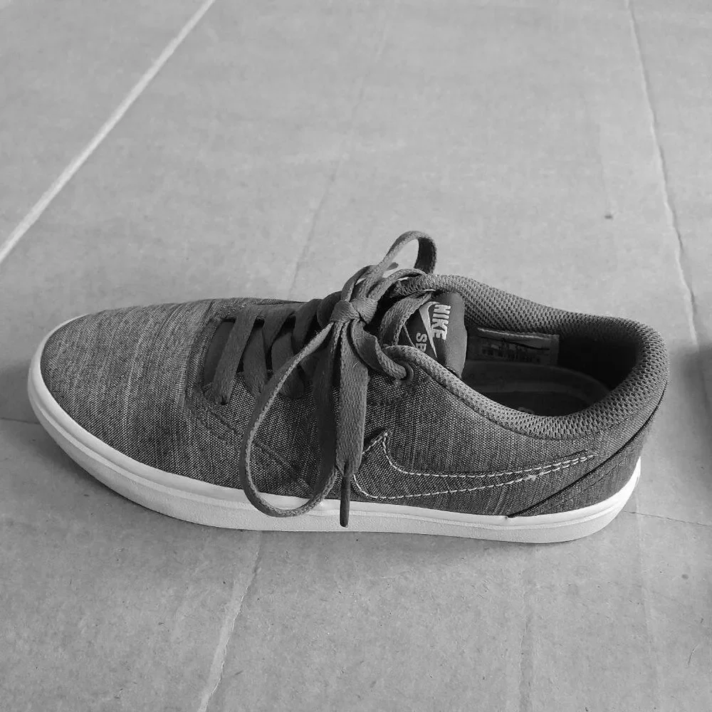 Nike sb check