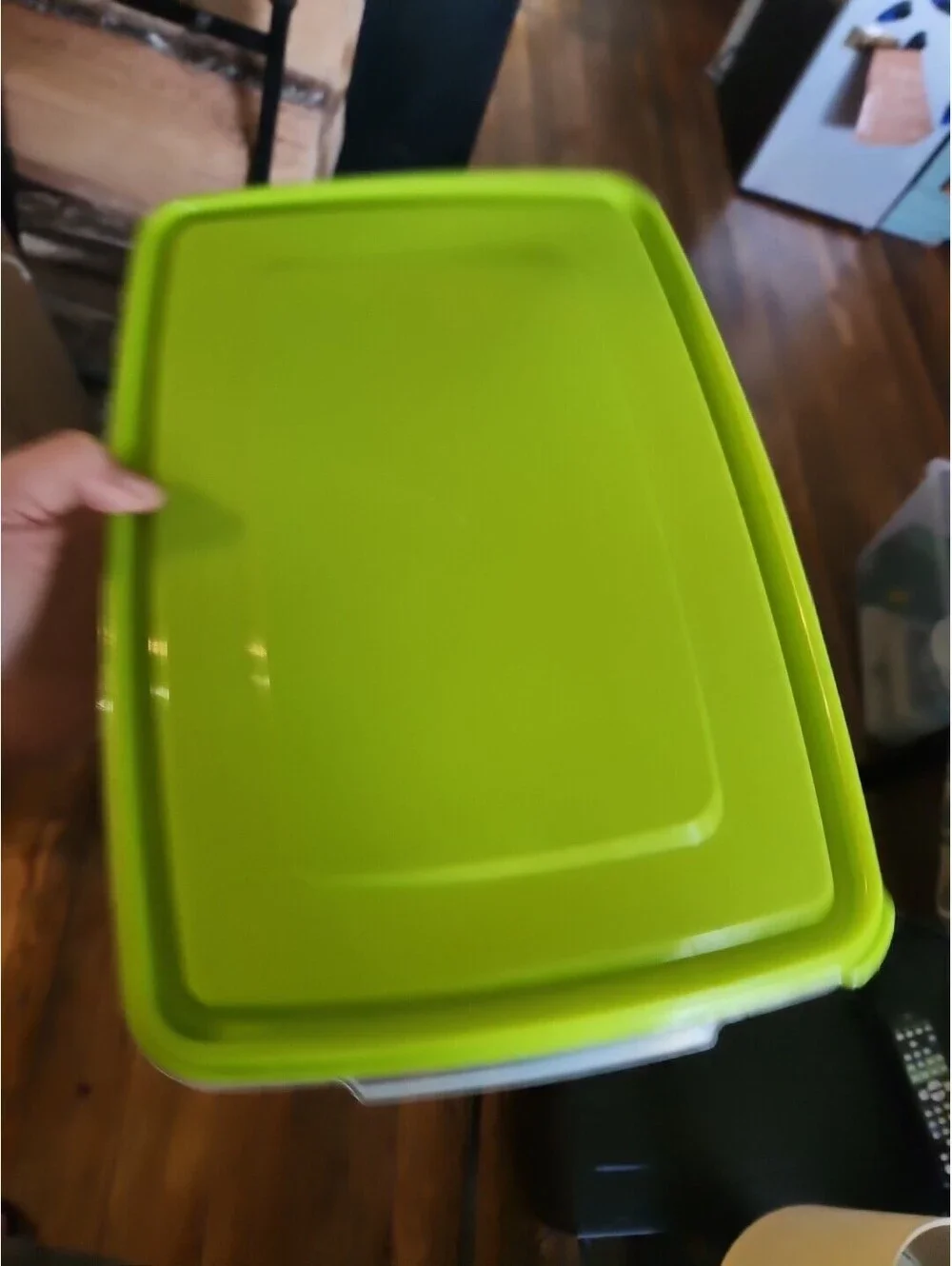 Rubbermaid Servin Saver 20 Egg Keeper Carrier Green!