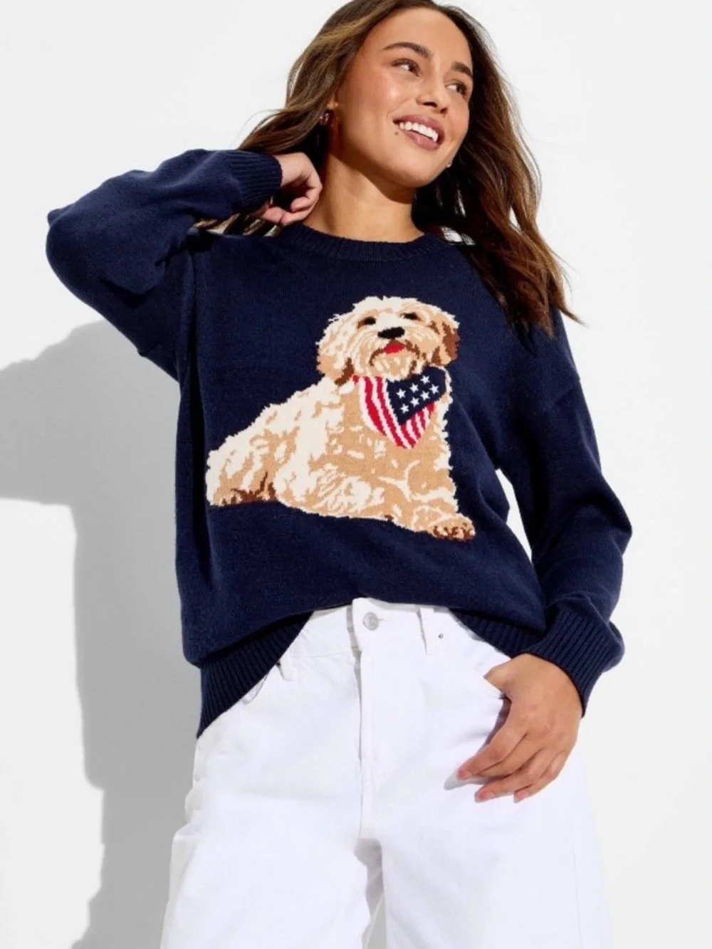 Americana Dog Sweater Navy Goldendoodle Graphic Pullover Size Large NWT