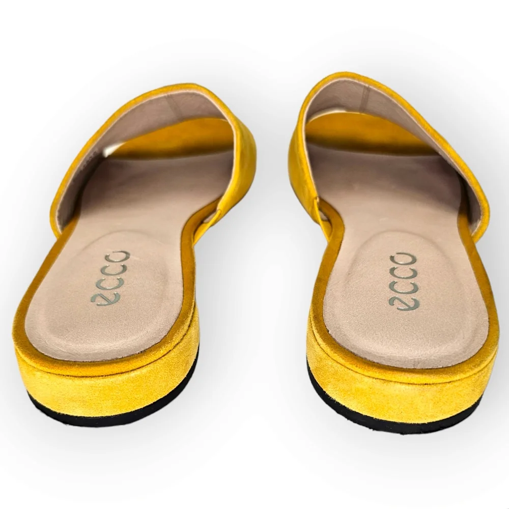 Ecco sole low