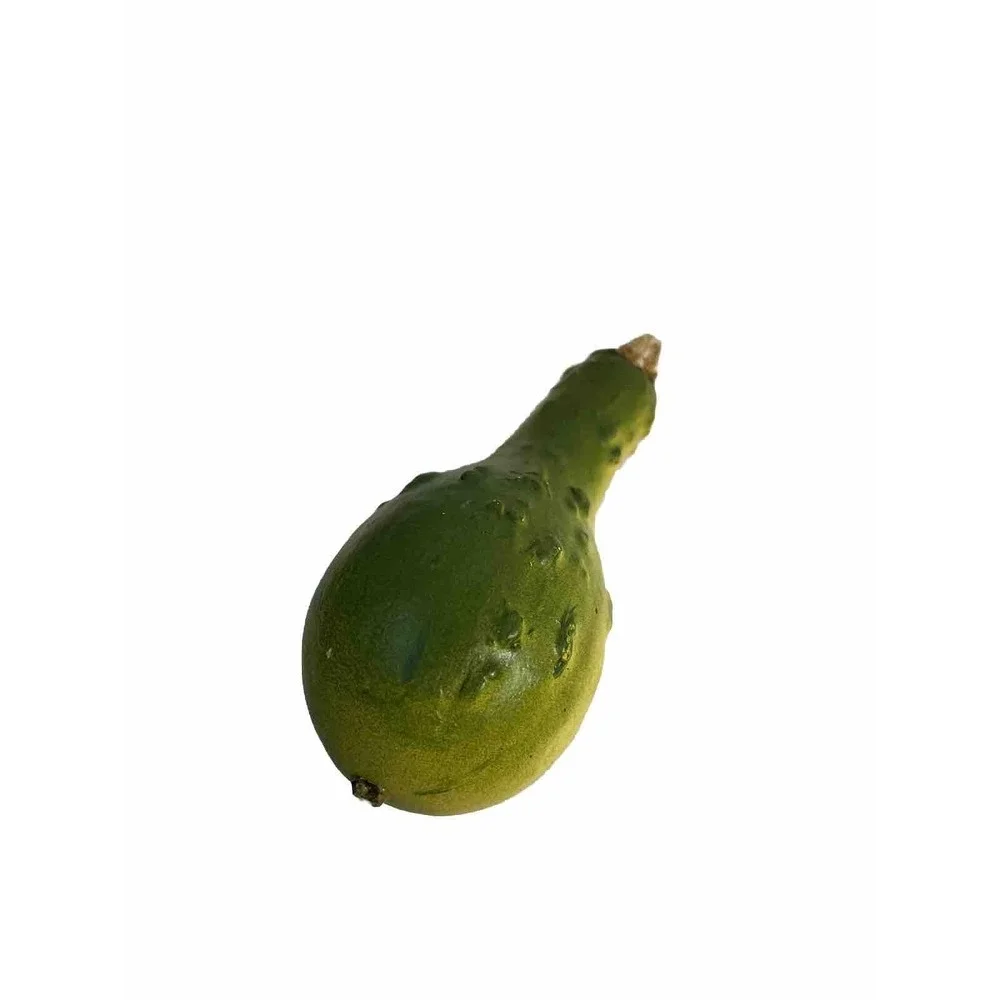 Faux Green Gourd 4.5 Inches Tall Harvest Traditional Home Decor