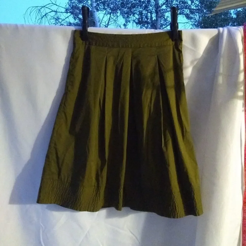 Ann Taylor skirt