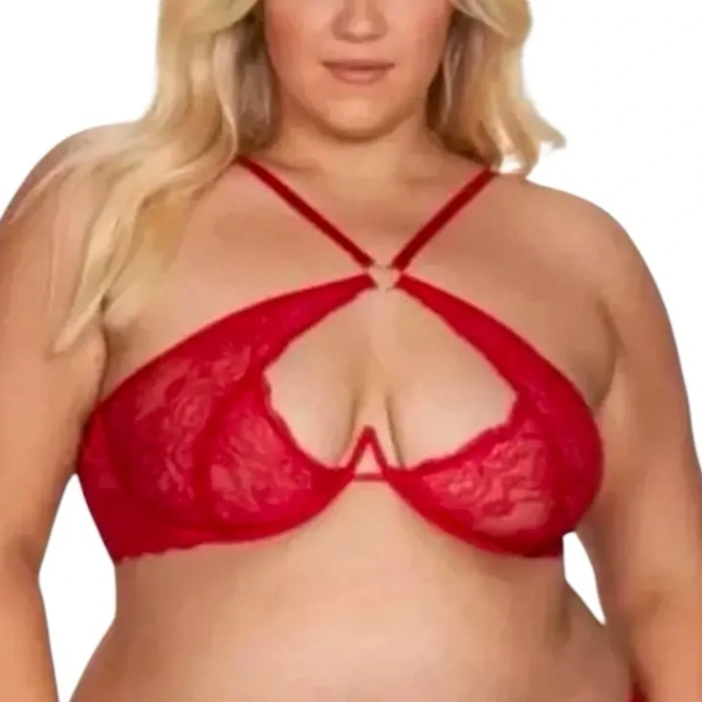 Fredericks of Hollywood free perfect