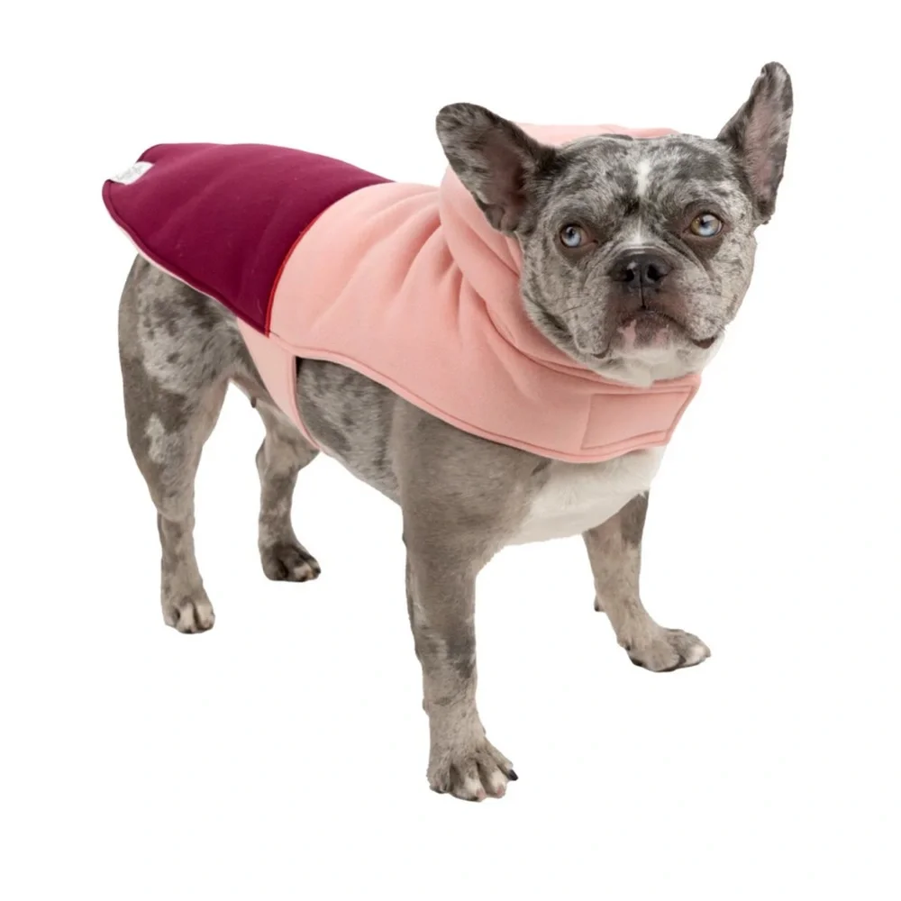 Sport Pet sportpet color