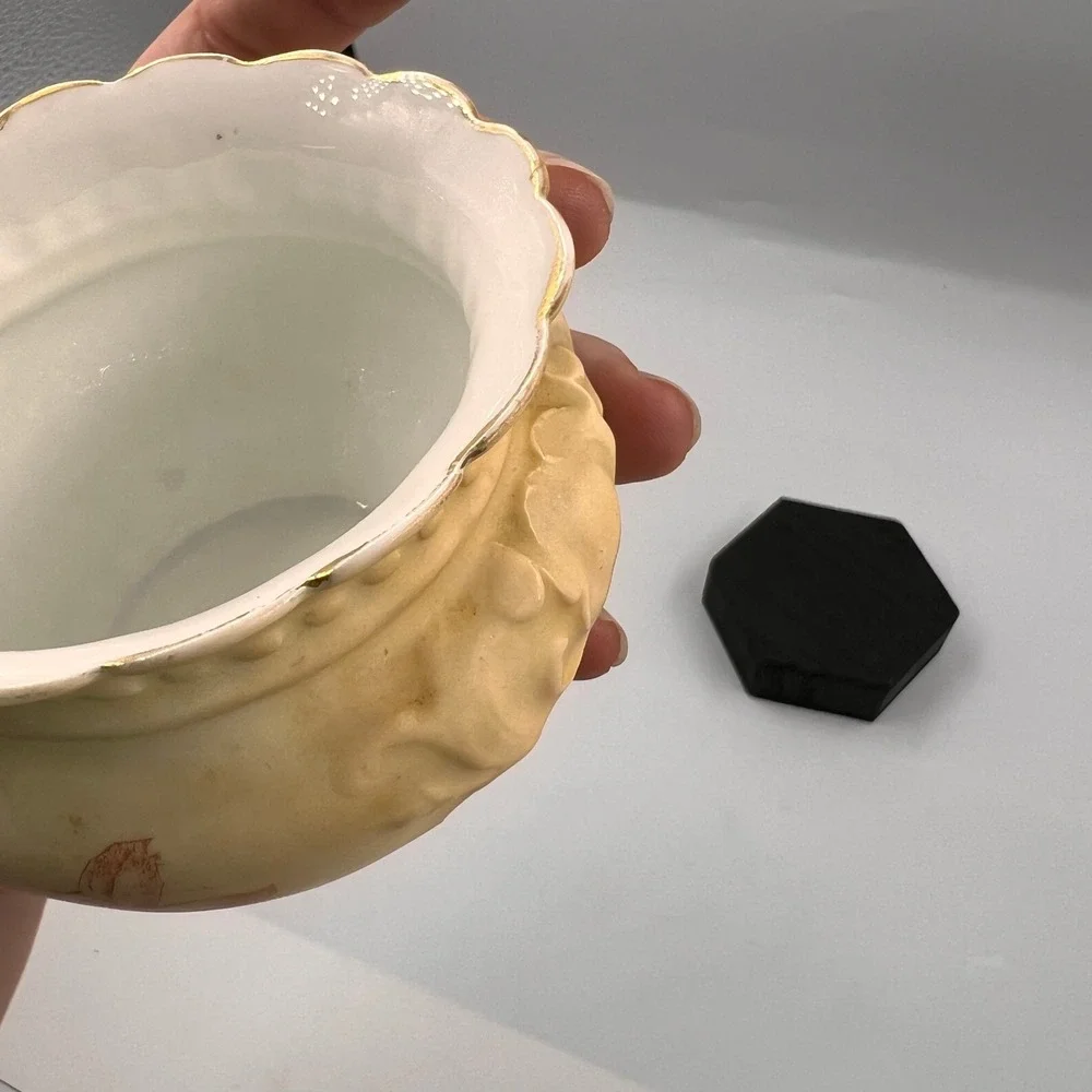 Royal Rudolstadt royal rudolstadt