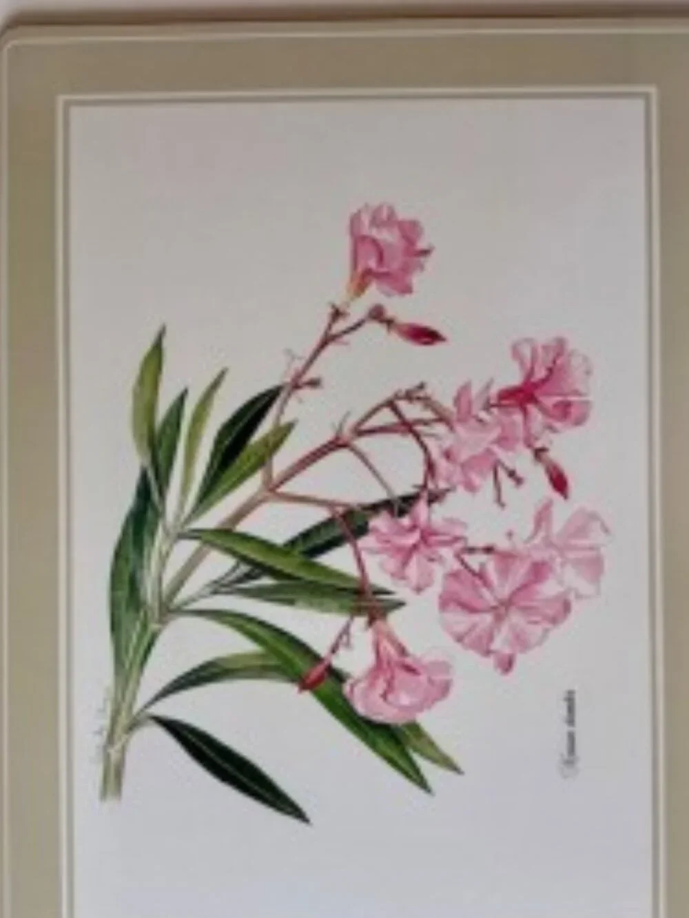 Lenox Pink Floral Serving Platter with Green Leaves