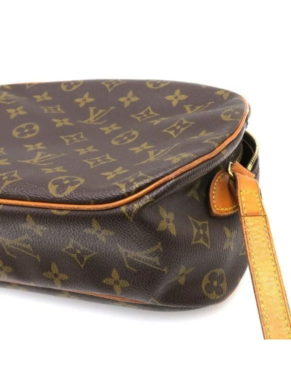 Louis Vuitton brand louis