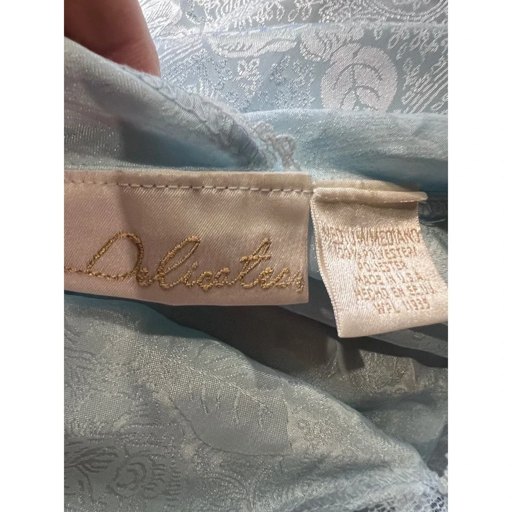delicates vintage nightgown