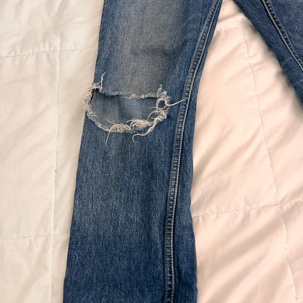 Everlane cheeky jean