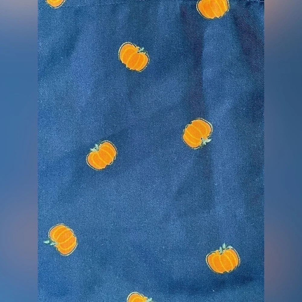 NWT Crewcuts Girls Blue Pumpkin Pants Size S 6-7 Elastic Waist Long Hall…