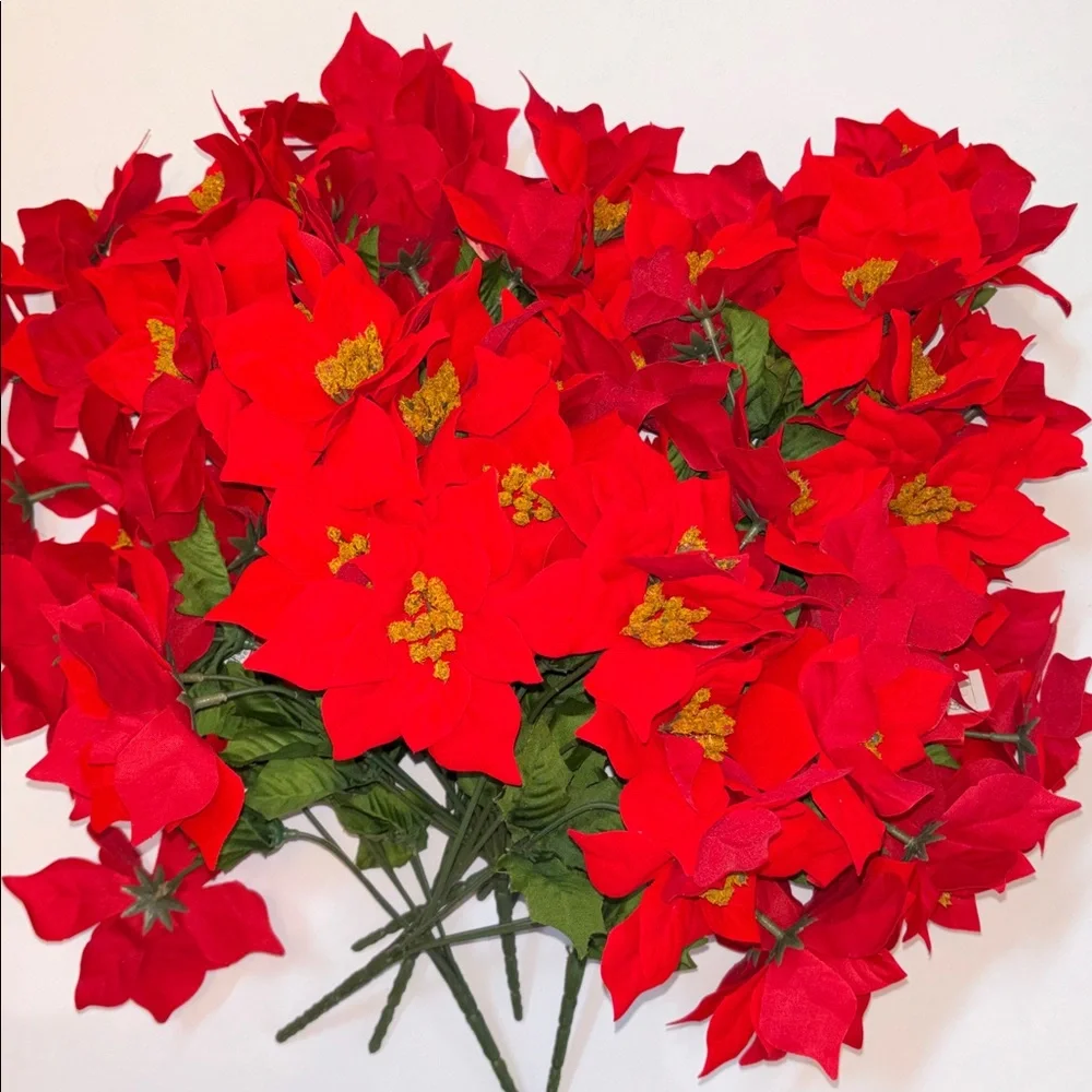 N/A close up