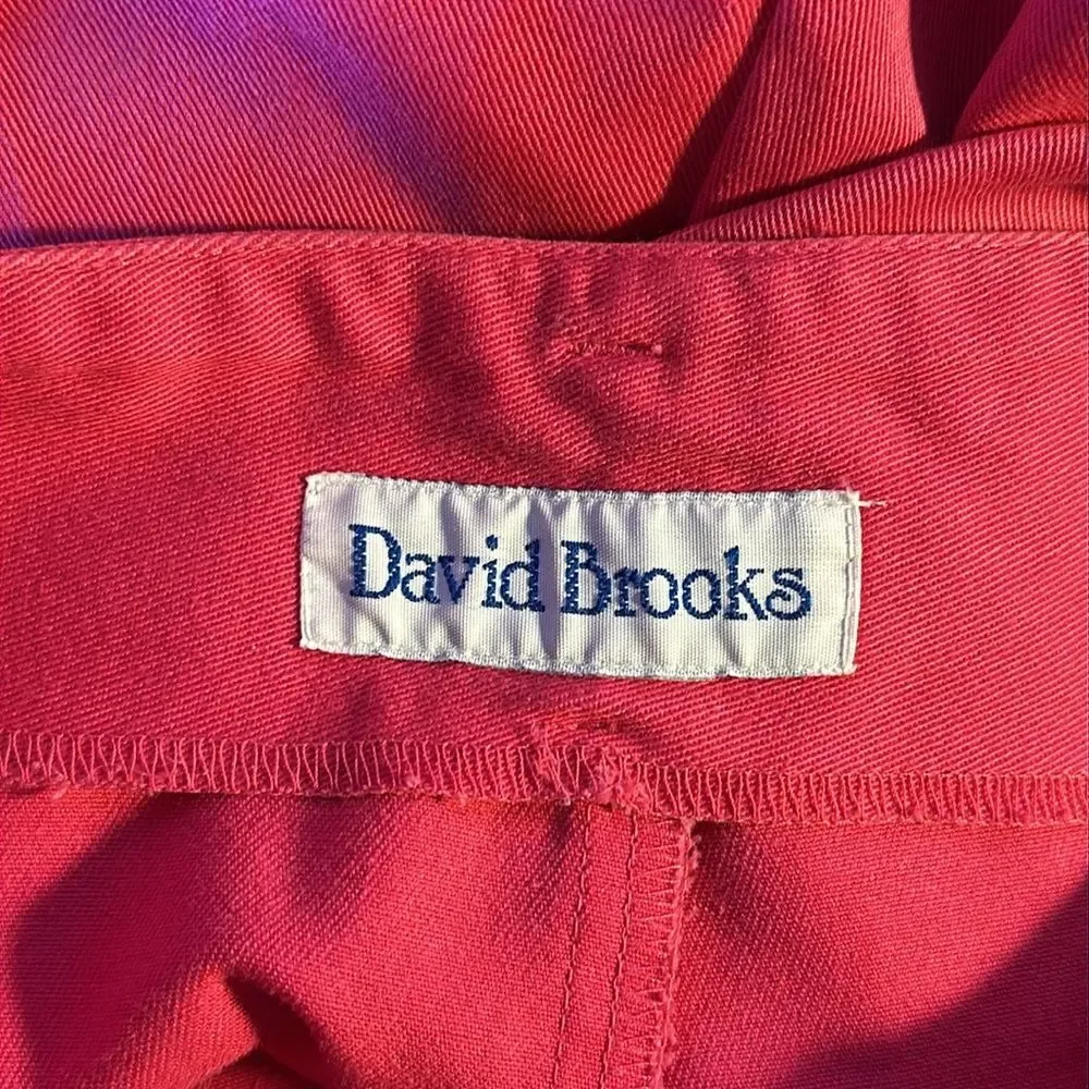 david brooks details david