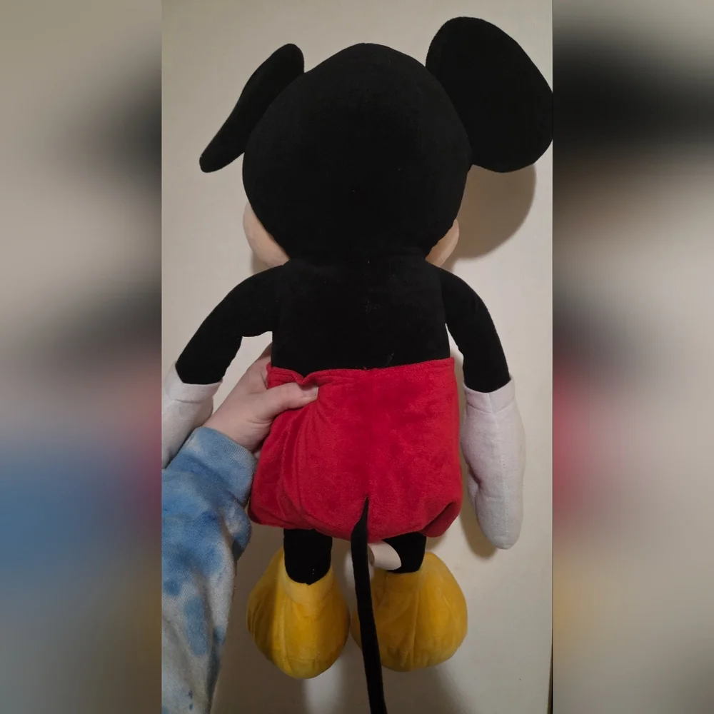 Disney tags comes