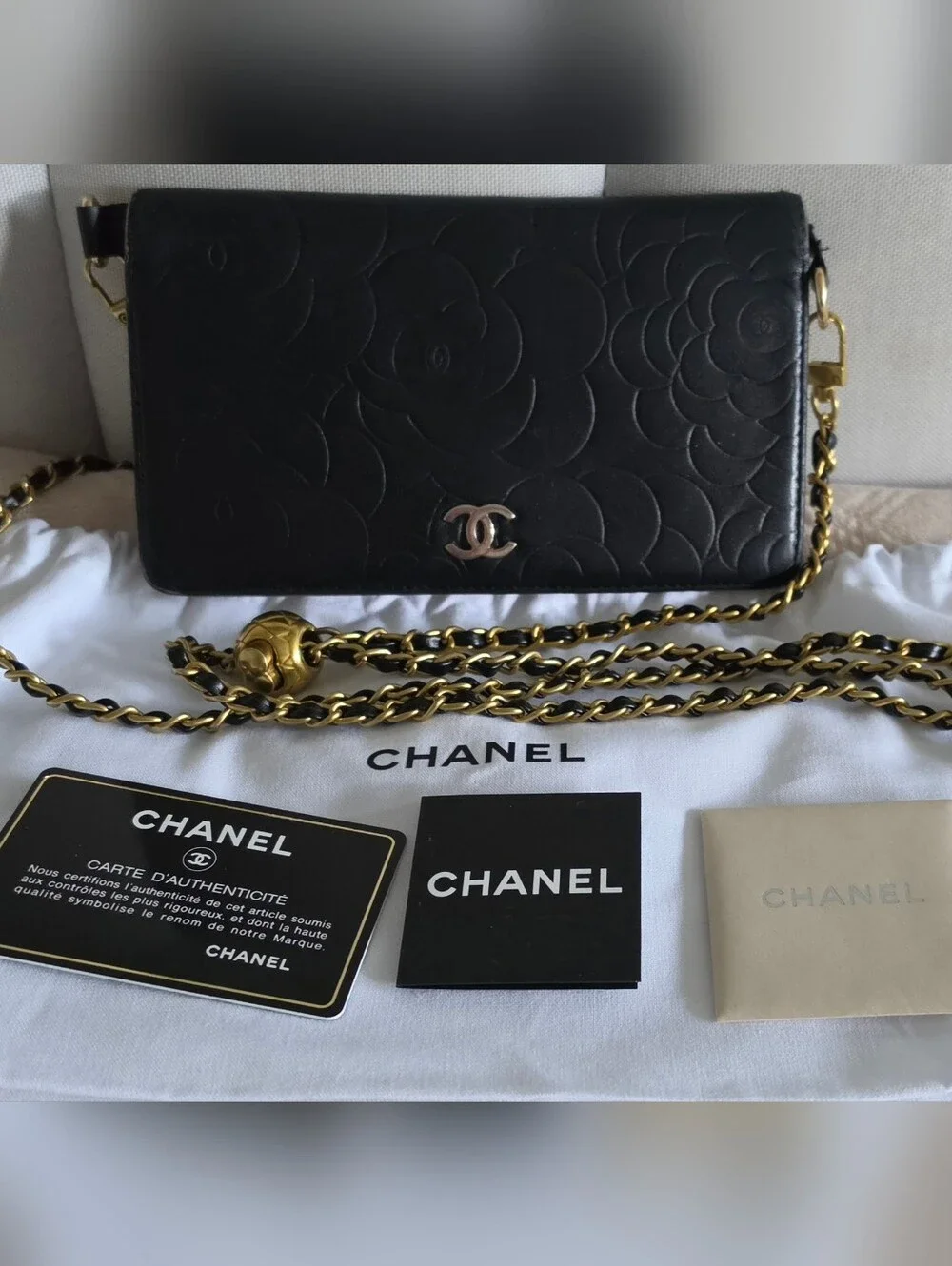 CHANEL inside country styling