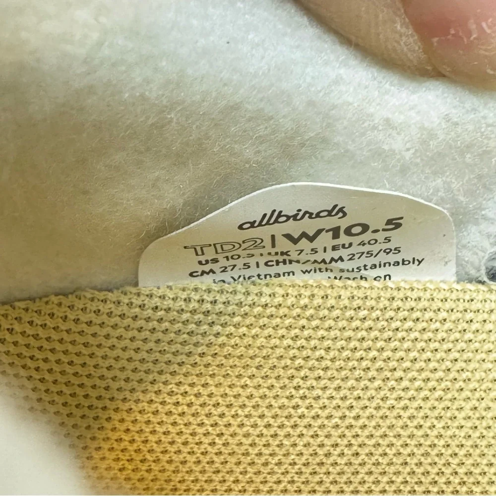 allbirds this sneakers