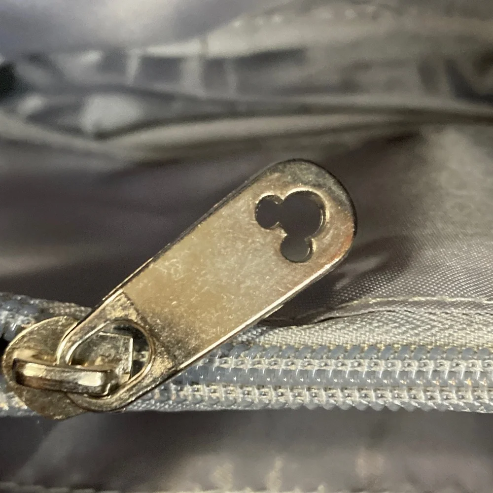 Disney stylish bag