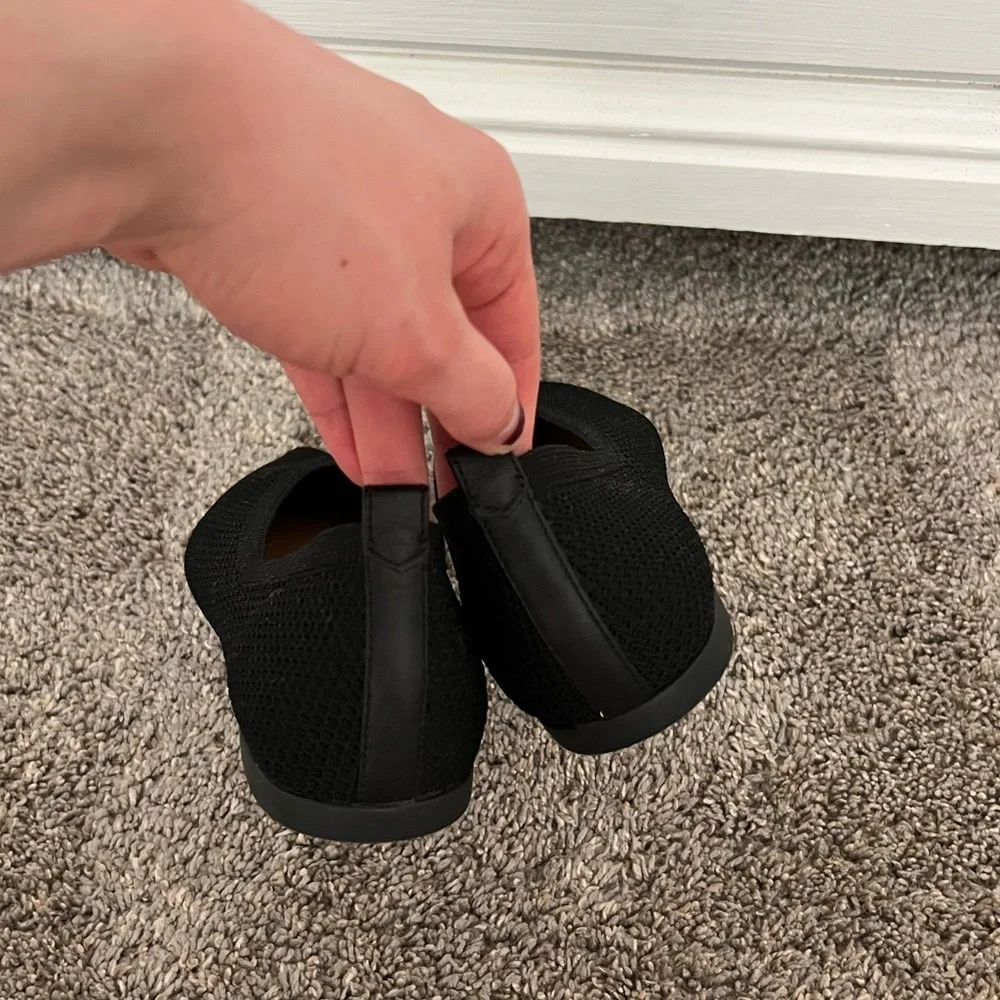 Everlane 40 hour