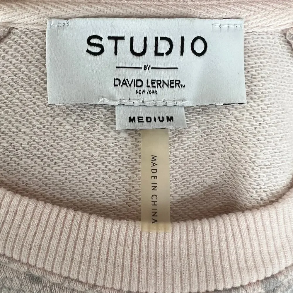 David Lerner studio david
