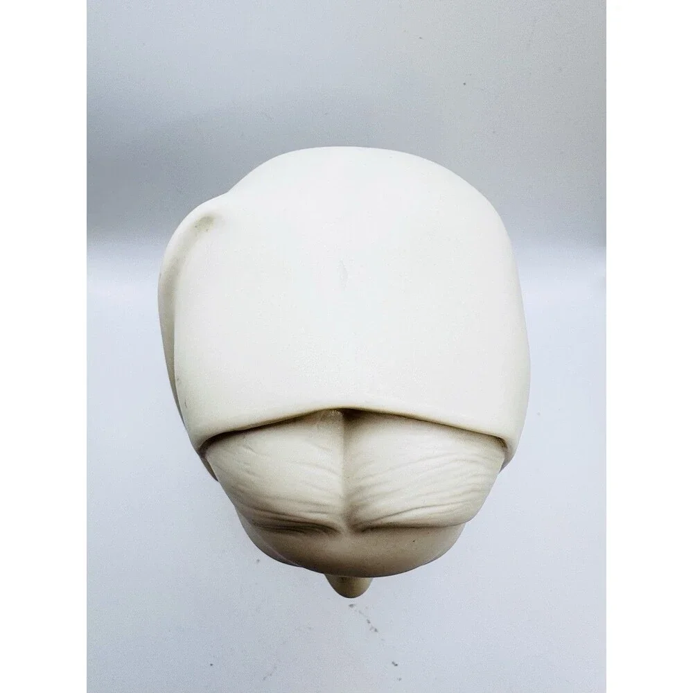Modern Ceramic Veiled Woman Bust Sculpture White Matte Art Statue Angus 8.5”