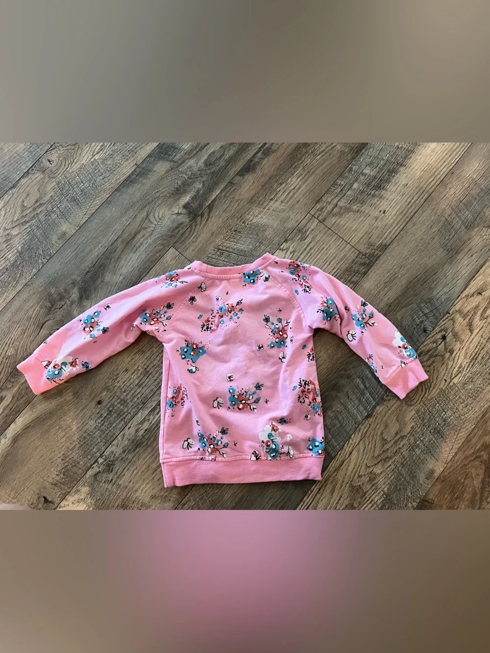 2T crew neck ballet butterfly sweater