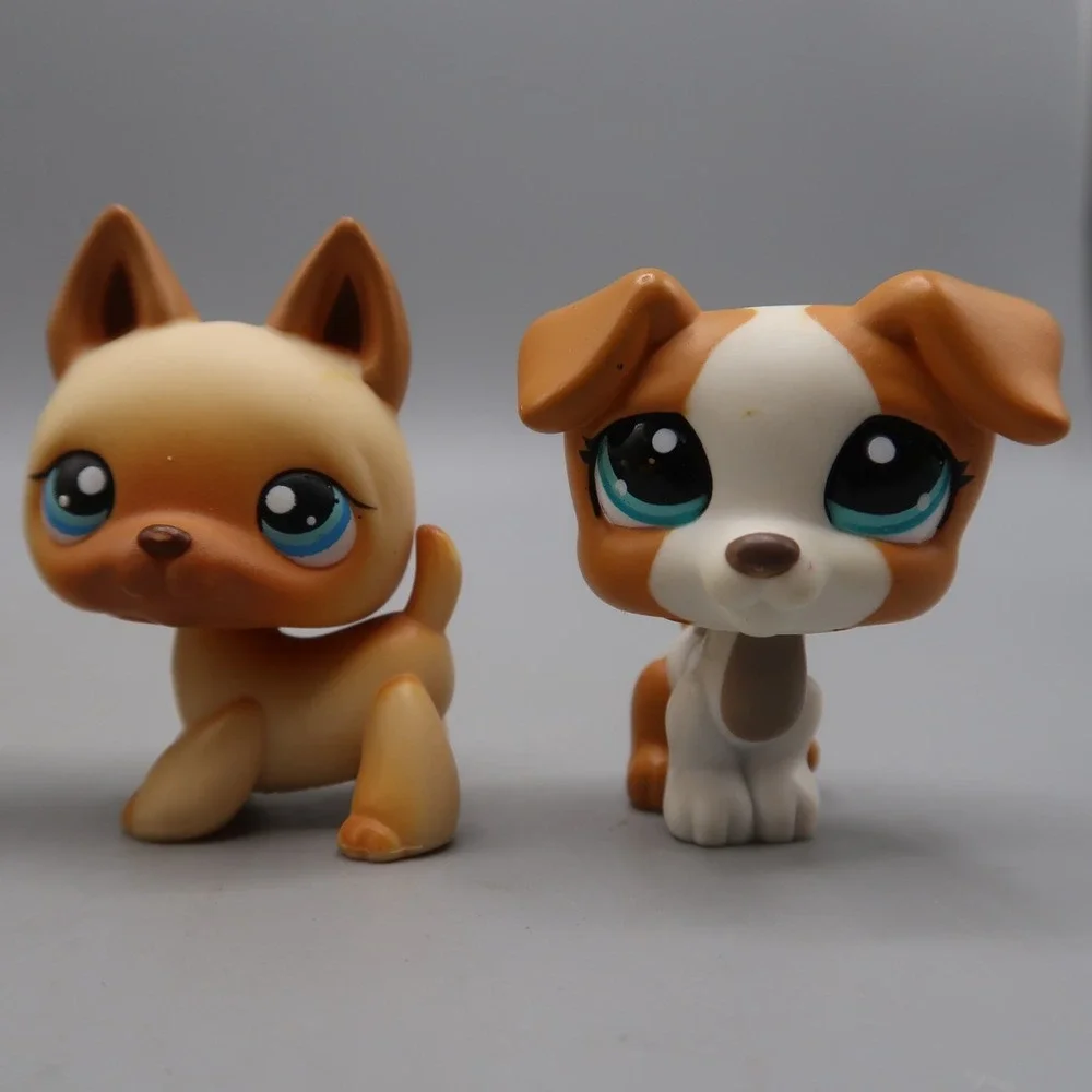 Littlest Pet Shop welcome pocket