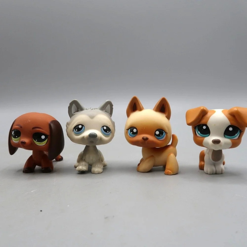 Littlest Pet Shop welcome pocket