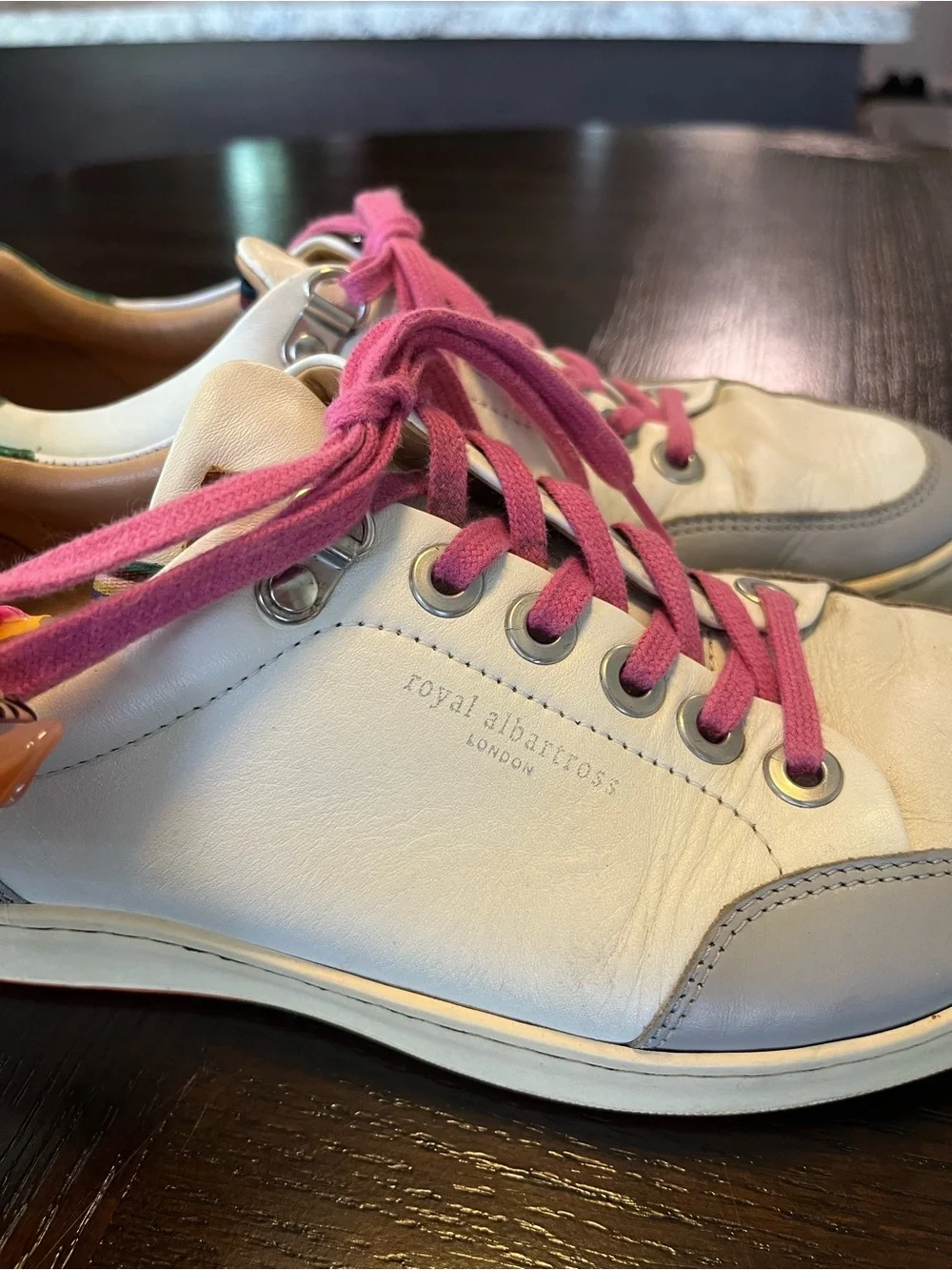 Royal Albartross royal albartross