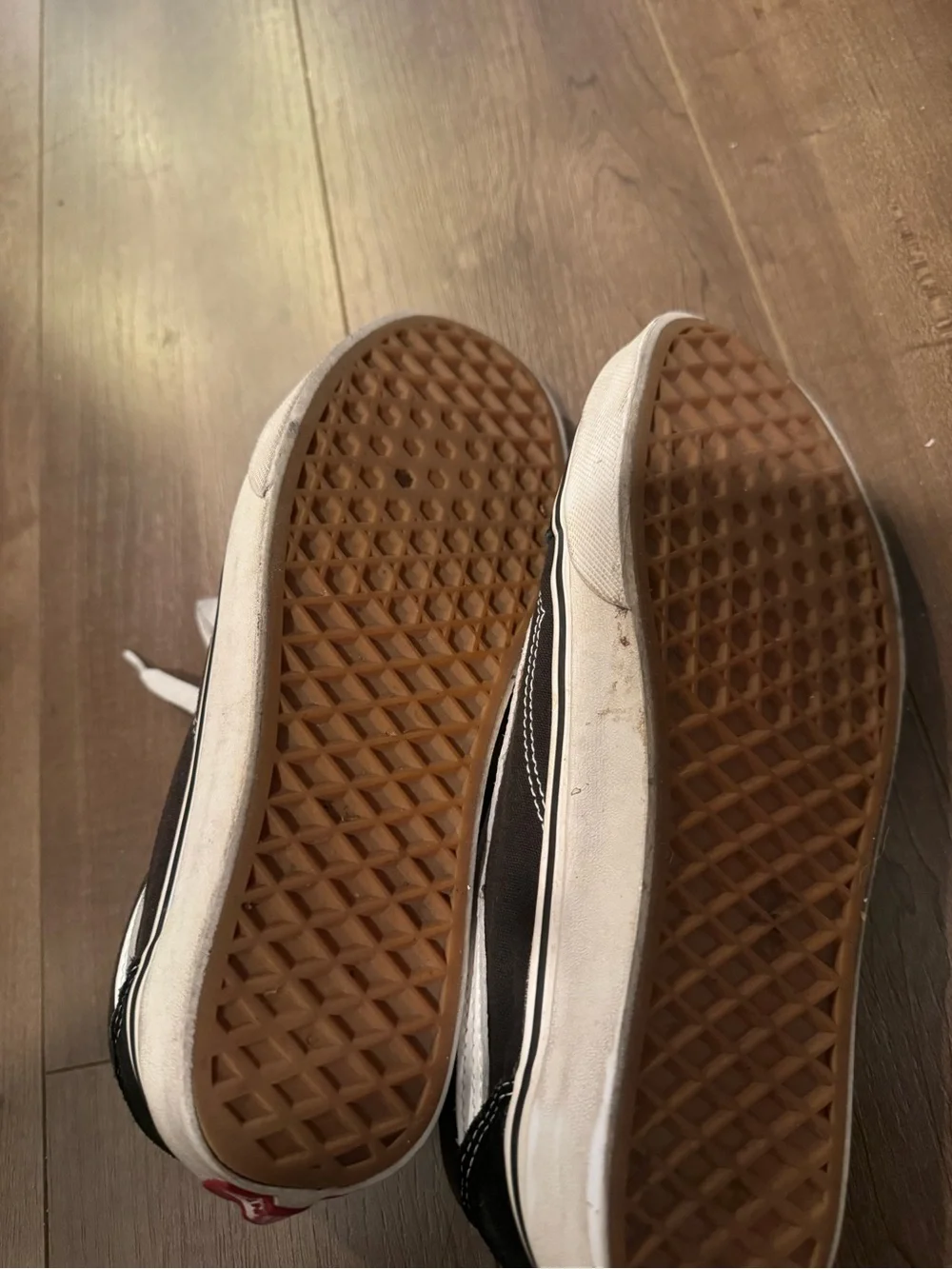 Vans low top