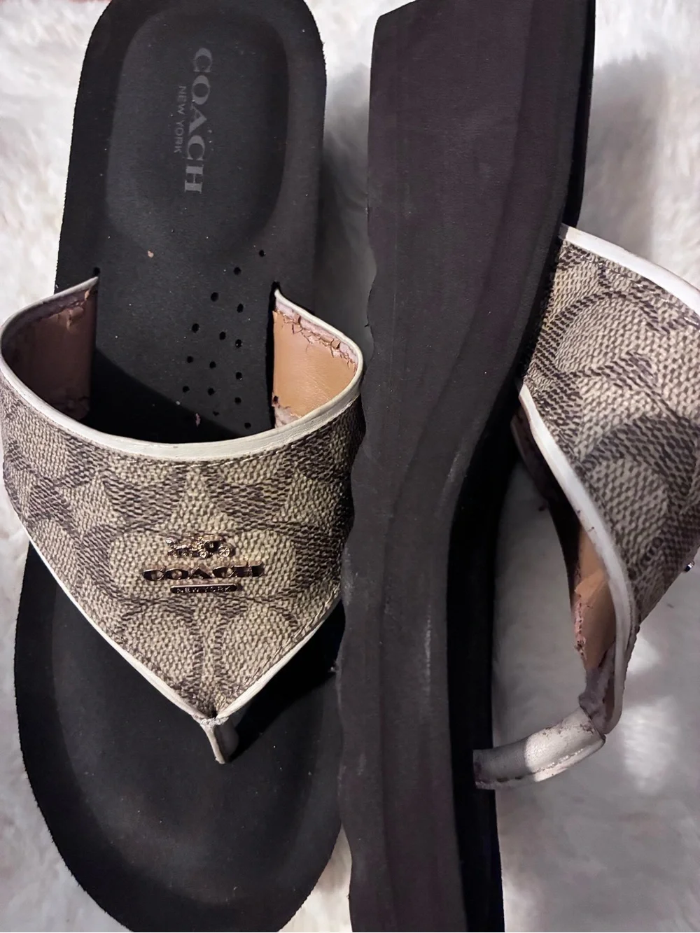 Coach classic thong
