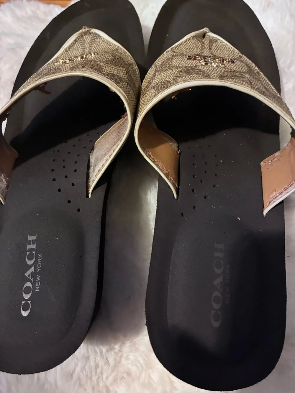 Coach classic thong