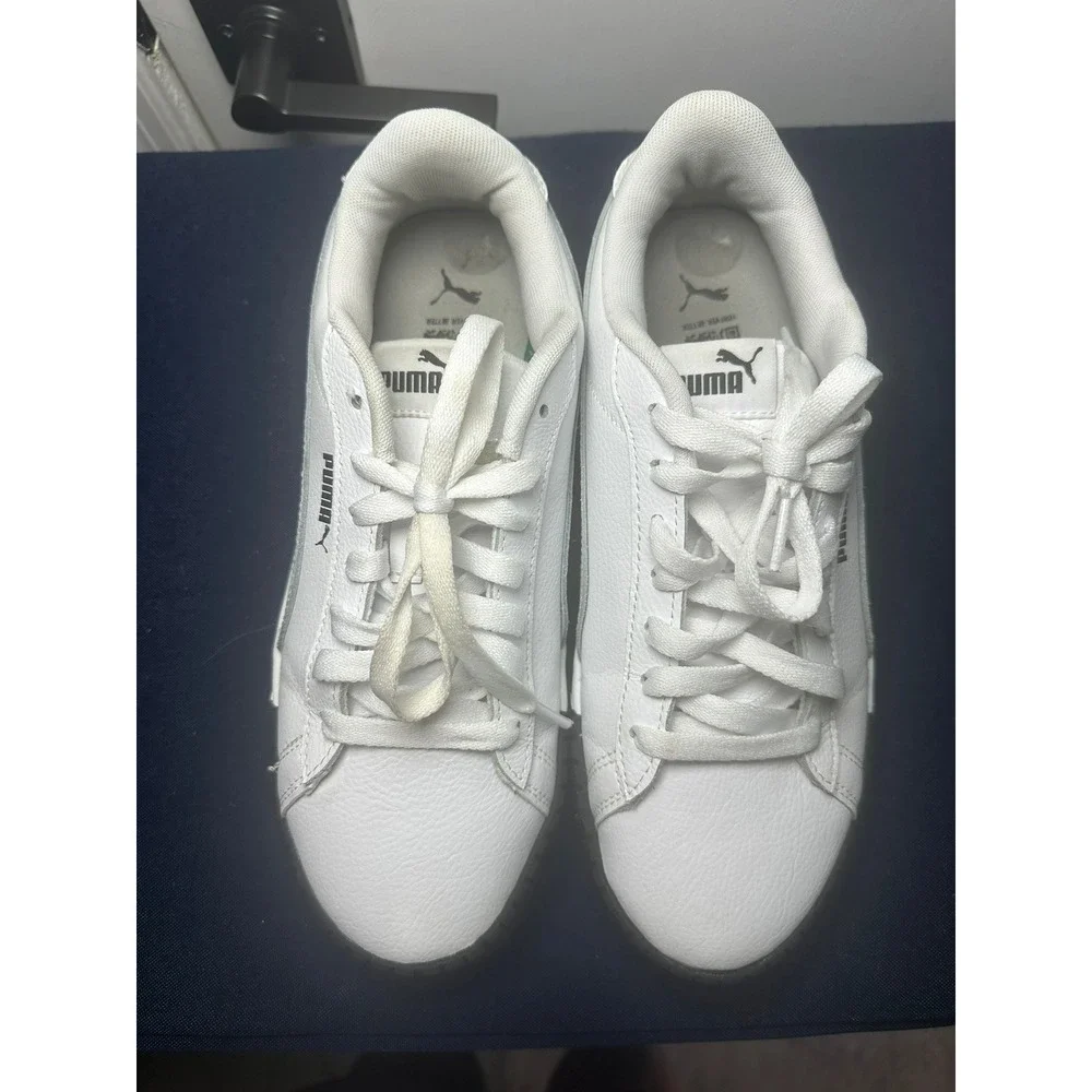 Puma carina street