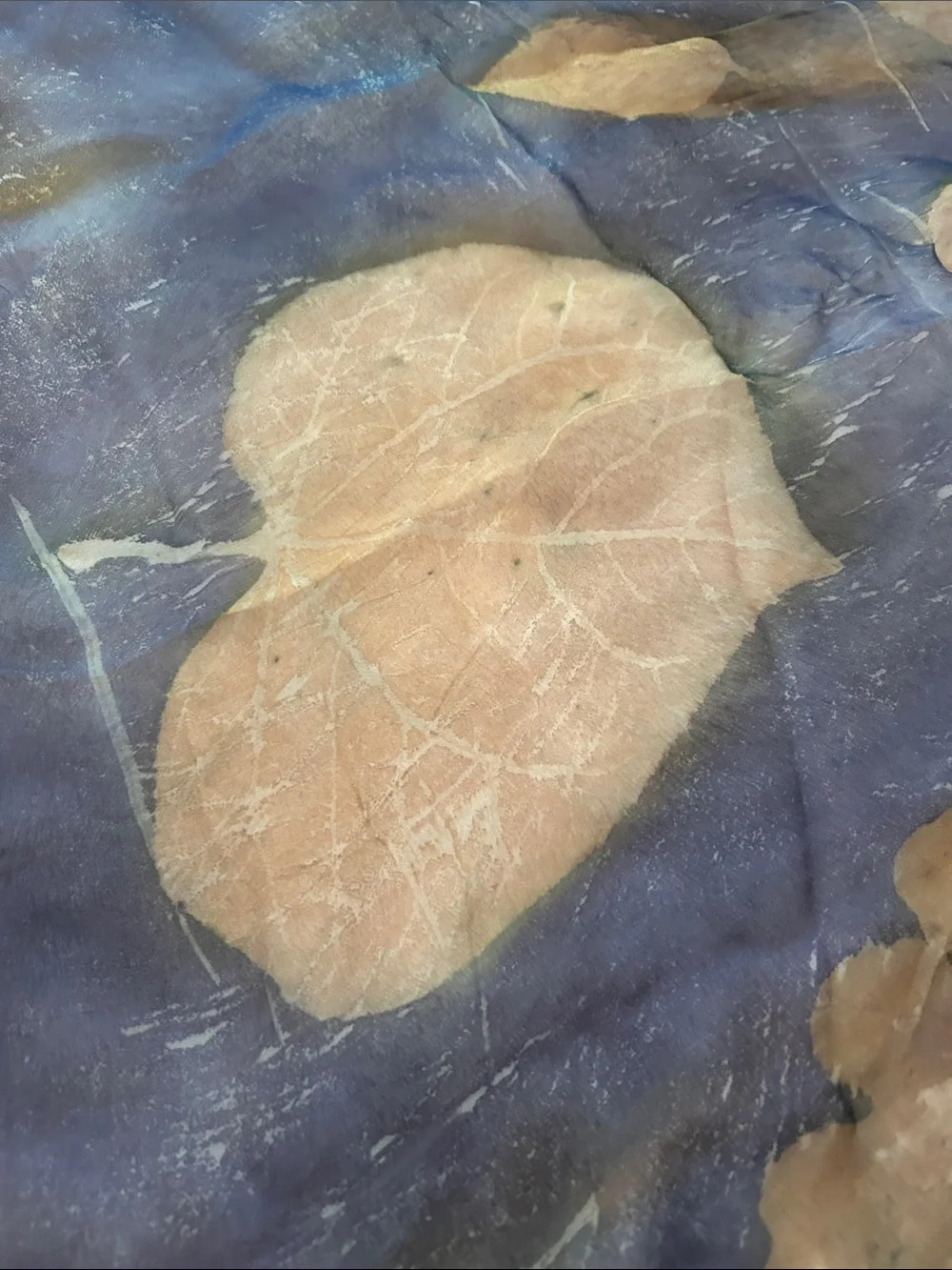 Debby Henning gorgeous silk