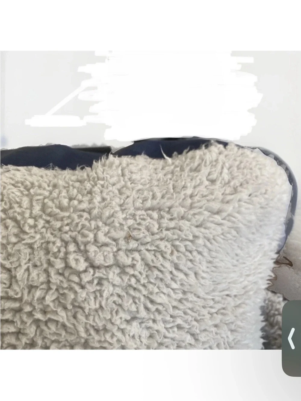 Burgeon Nest small pet