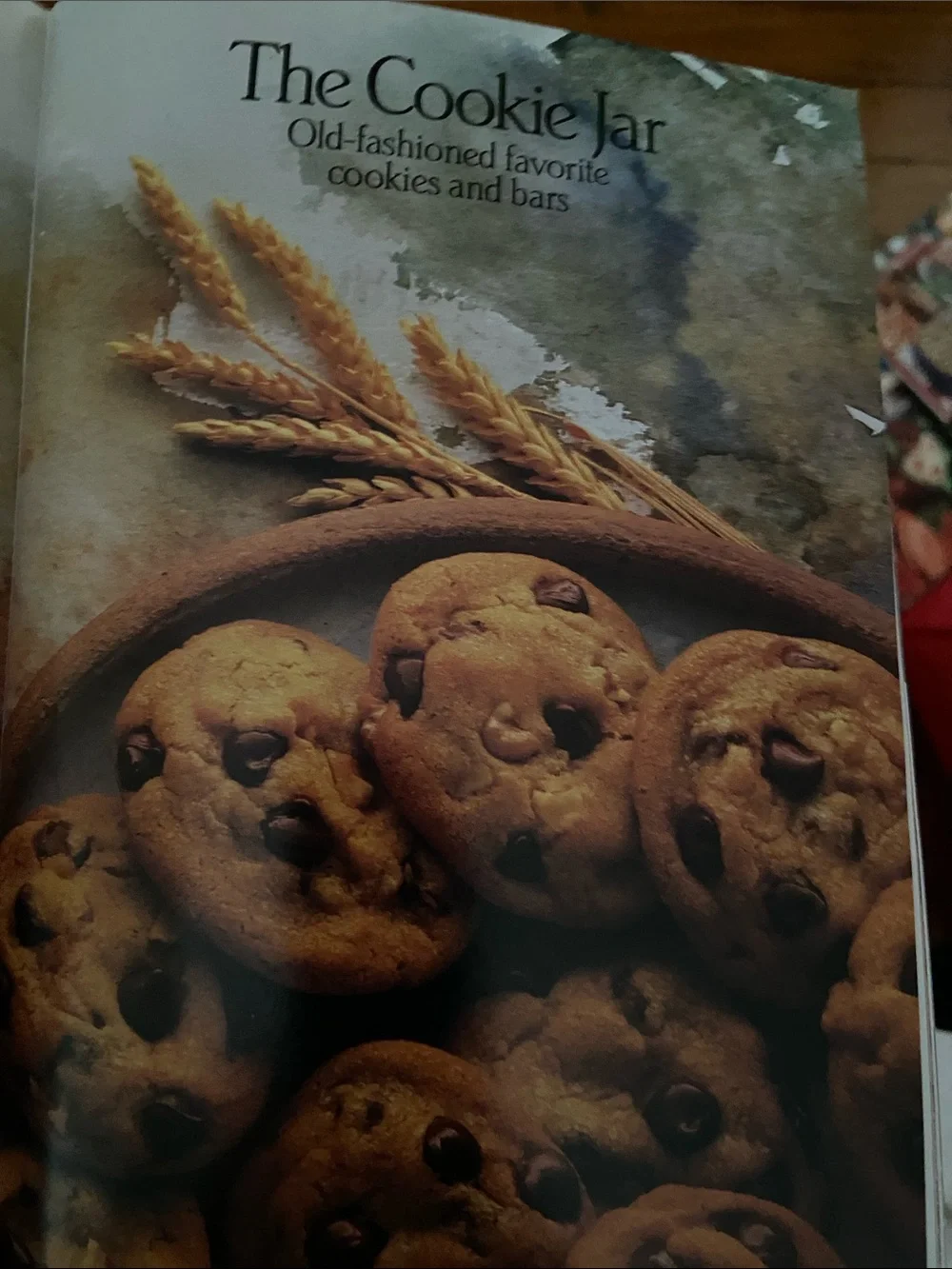 Vintage 1980s 80s Pillsbury Pillsbury’s Baking cookbook Christmas cookies cake