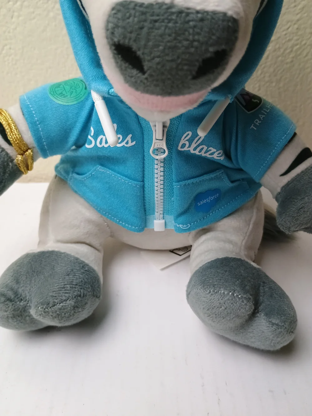 Salesforce soft zebra